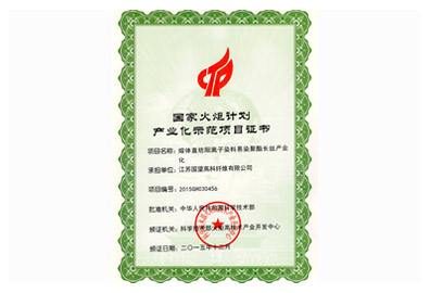 國家火炬計(jì)劃產(chǎn)業(yè)化示范項(xiàng)目證書 熔體直紡陽離子染料易染聚酯